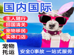 喀什徕宁航空邮寄国际宠物托运 【国
